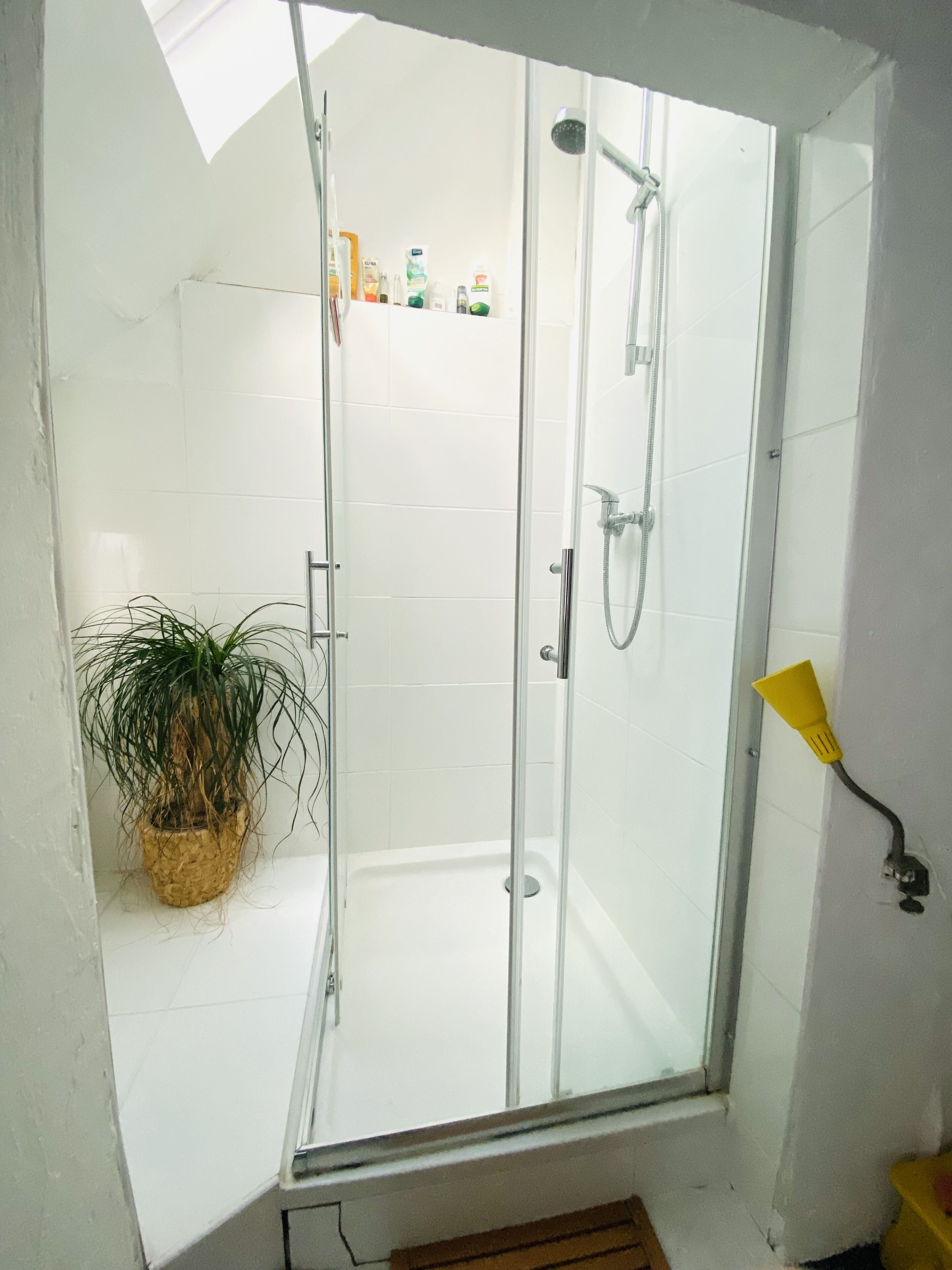 Dusche, Haartrockner, Seife, Toilettenpapier