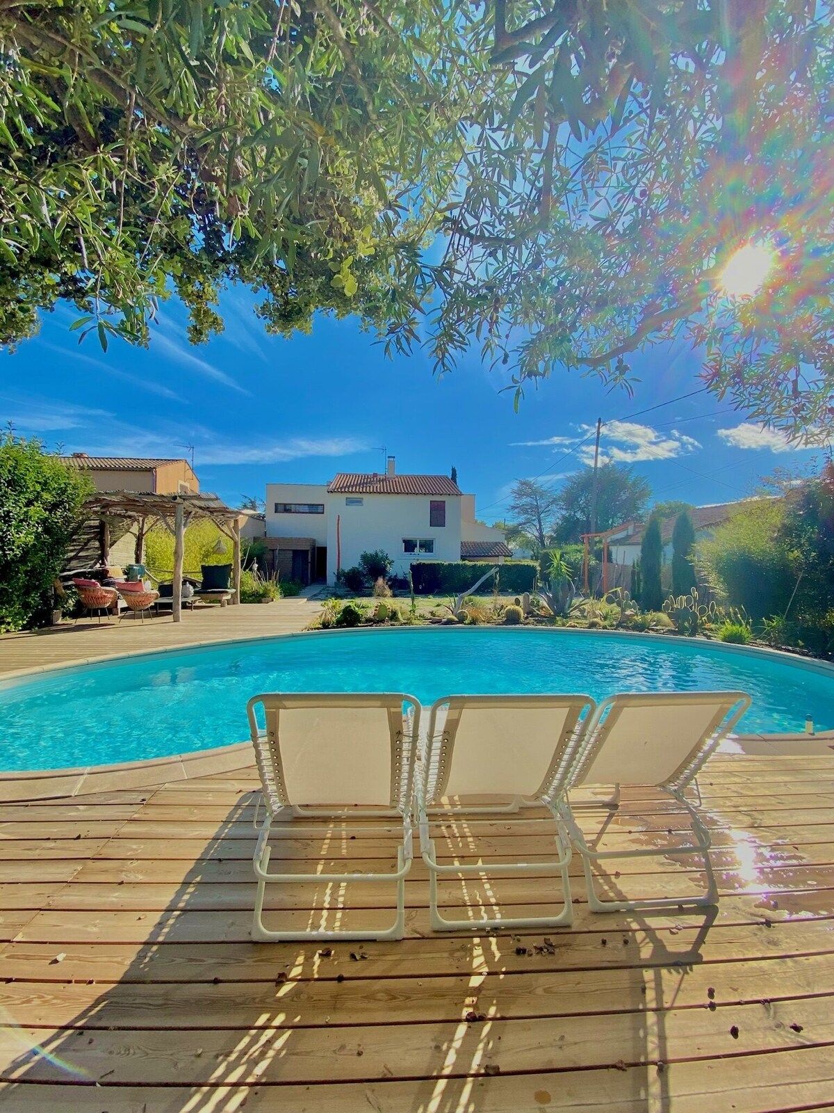 Image de profil de l’hôte