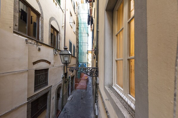 Vista desde la propiedad