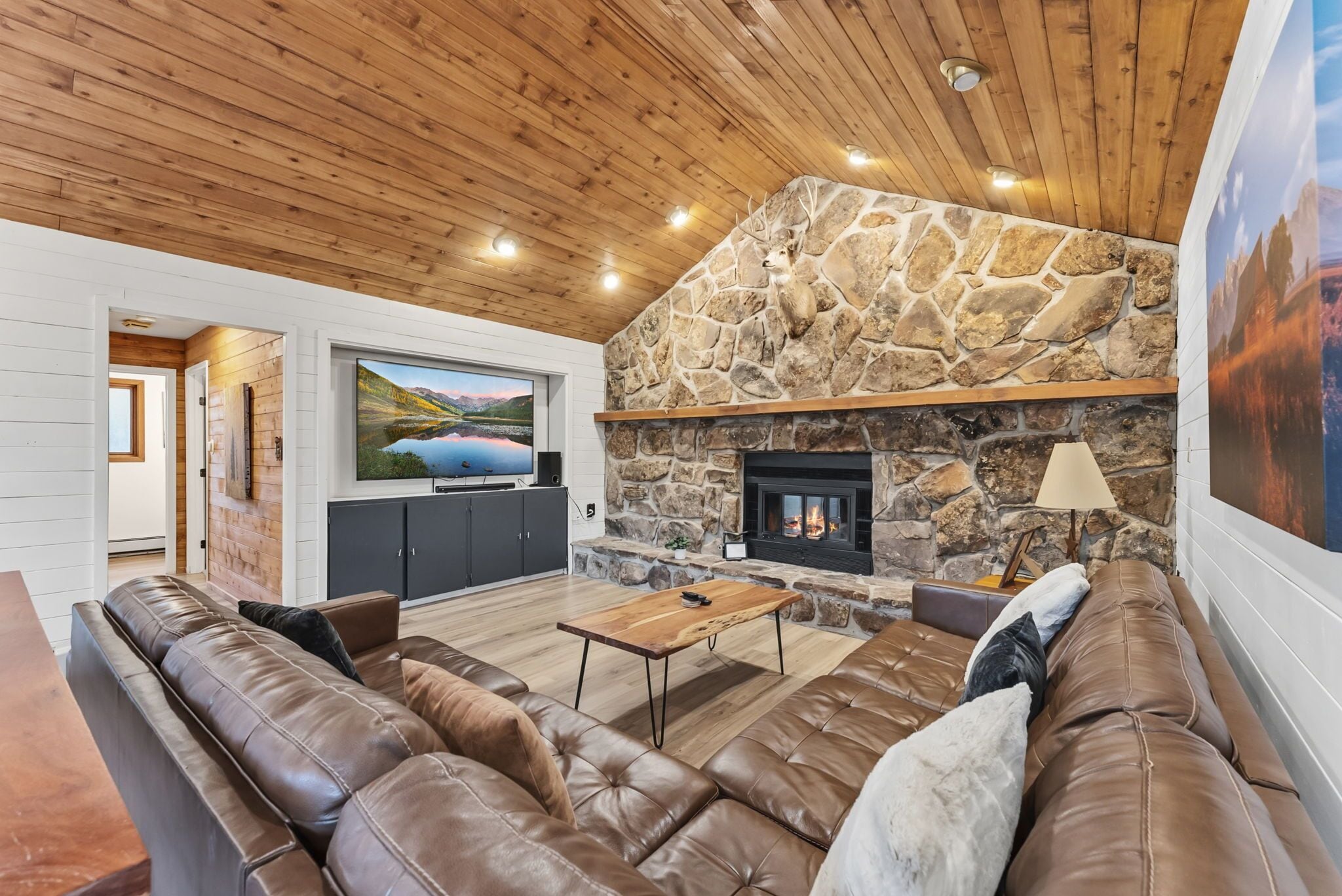 Smart-tv, pejs, videospil, bordfodbold