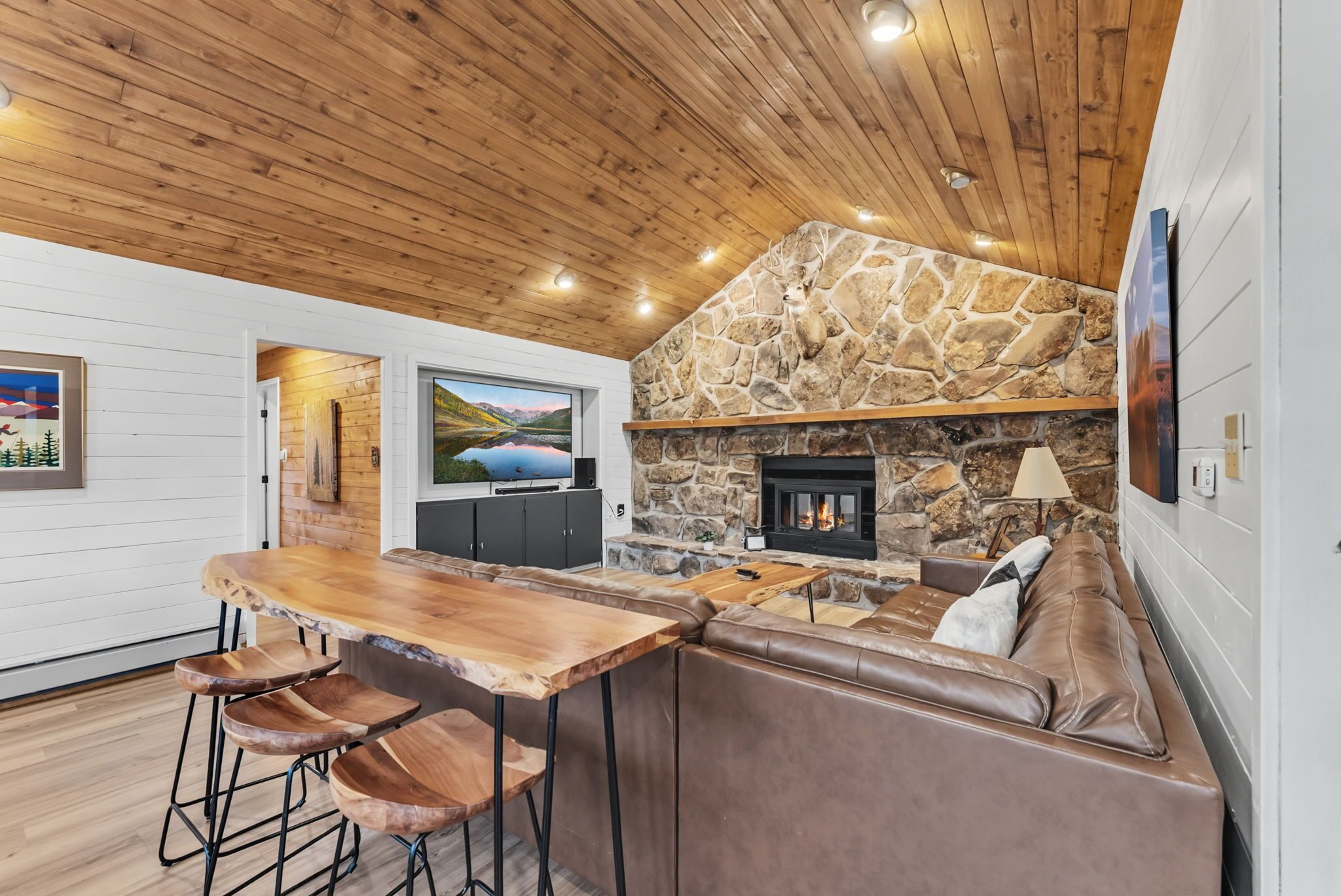 Smart-tv, pejs, videospil, bordfodbold