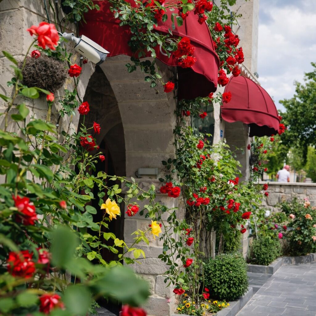 Majoituspaikan julkisivu