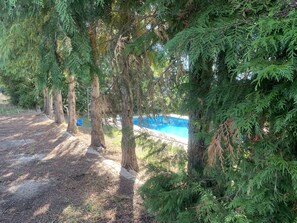Property grounds - Casa de Pereiras - Peace, landscape, swimming pool (vimioso)