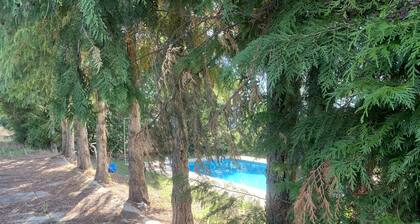 Casa de Pereiras - Peace, landscape, swimming pool