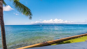 Blick auf die Küste mit blauem Meer, einer Palme und einer Steinmauer.