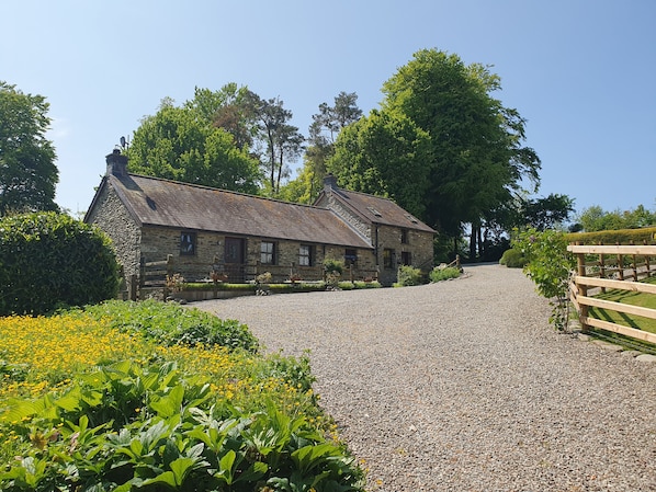 Cottage | Property grounds - Ty Barcud (Lampeter)