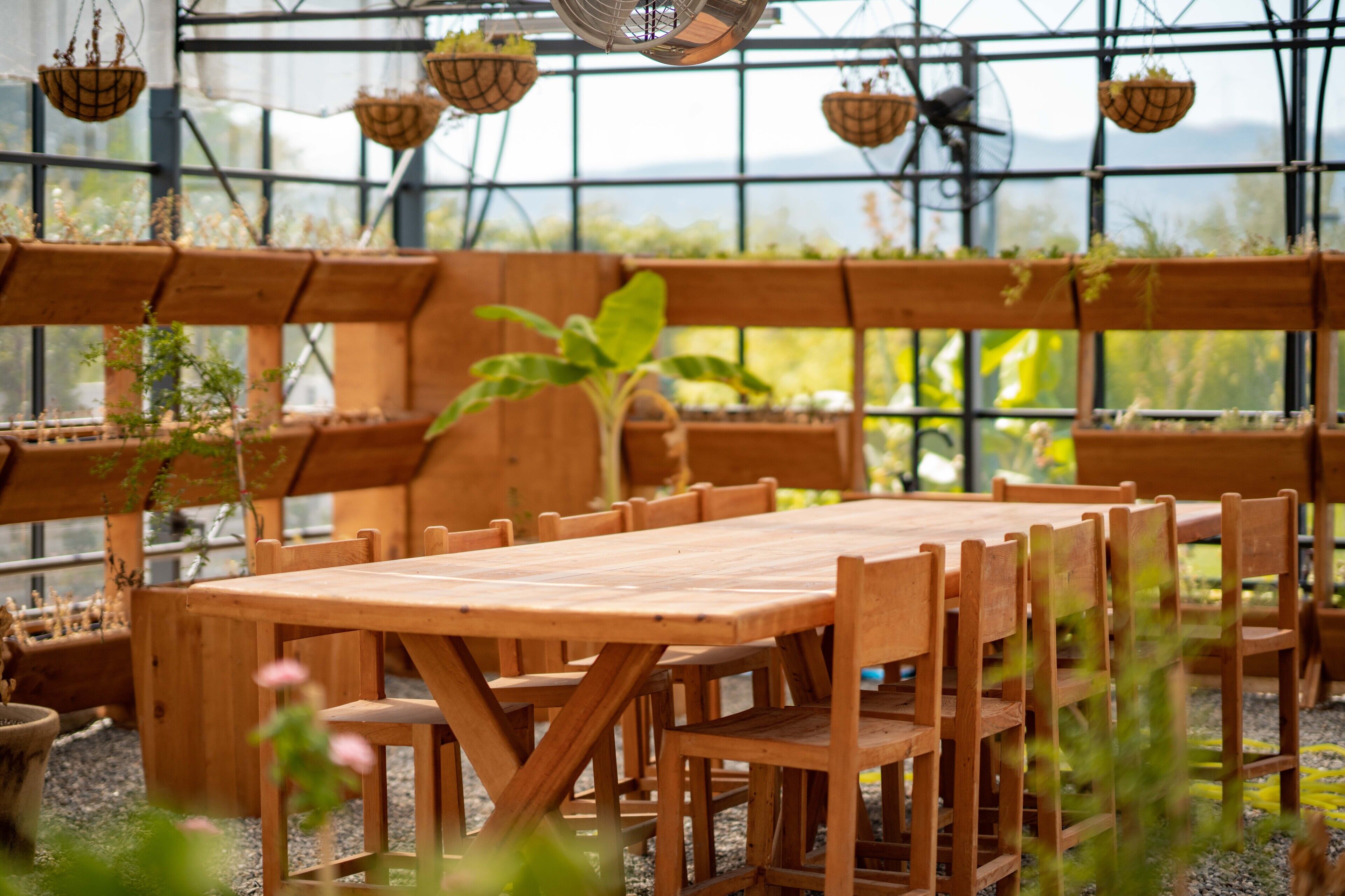 A wooden table and chairs set up in a greenhouse with hanging planters.