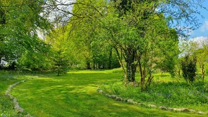 A lush green garden with a winding path, surrounded by trees and rocks. - Ty Twt (Lampeter)