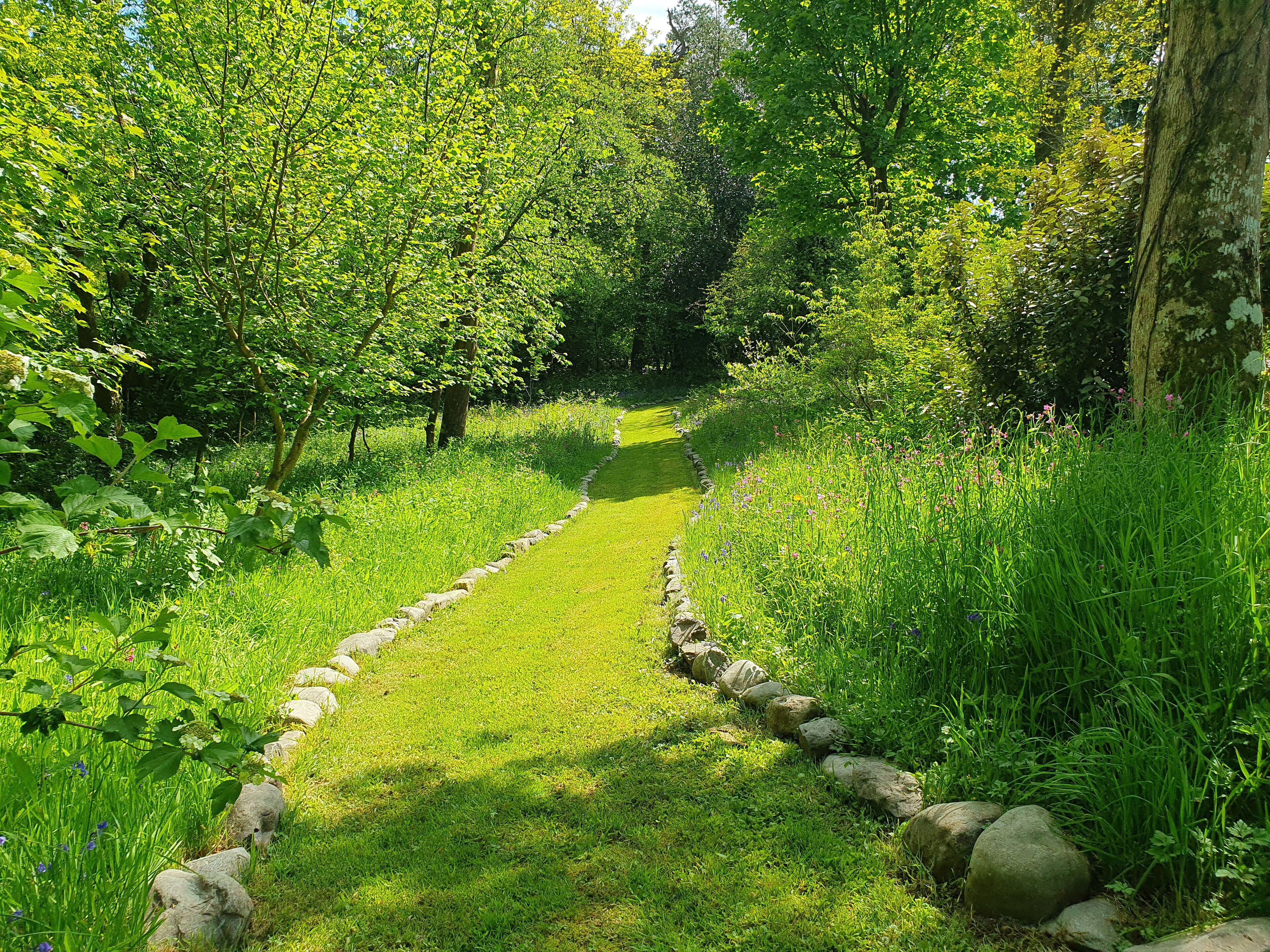 Ein gepflasterter Weg schlängelt sich durch einen üppigen Garten mit dichtem Grün und Bäumen.