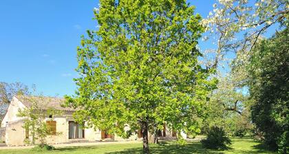 Maison de charme au milieu de noisetiers