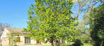 Charming house surrounded by hazelnut trees
