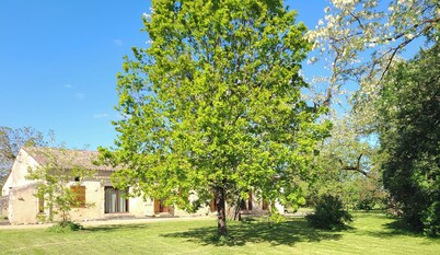 Charming house surrounded by hazelnut trees
