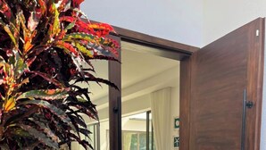 A modern interior with a wooden door, a potted plant, and a glimpse of a room with a white curtain and a blue chair.