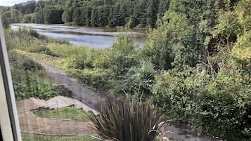 House | Property grounds