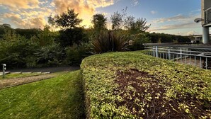 A landscaped garden with a well-maintained hedge, a variety of shrubs, and a pathway leading to a building. - River Bay (Cardiff)