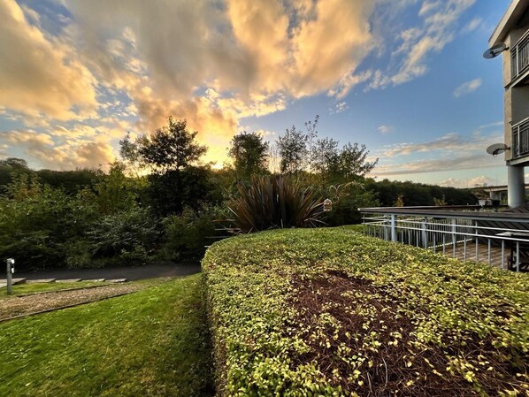 Property grounds - River Bay (Cardiff)