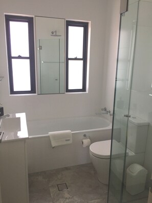 Bathtub, hair dryer, towels, soap