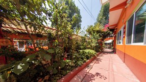 Un chemin bordé d’une végétation luxuriante et un bâtiment à la façade rouge et orange.