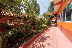 Property grounds - 1 bedroom apartment equipped coyoacan on a 1st floor (Ciudad de México)