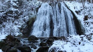 A waterfall surrounded by snow-covered trees. - Beautiful *** studio apartment with a terrace (Gérardmer)