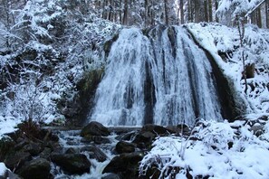 A waterfall surrounded by snow-covered trees. - Beautiful *** studio apartment with a terrace (Gérardmer)