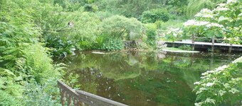 Magnificent studio with terrace 