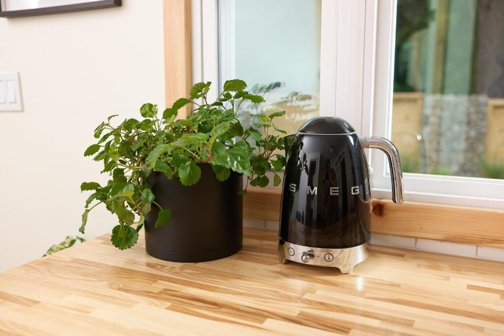 A kitchen counter with a black electric kettle and a potted plant.