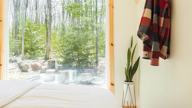 Un dormitorio con un ventanal grande que da a un bosque, una cama, una planta y un perchero.