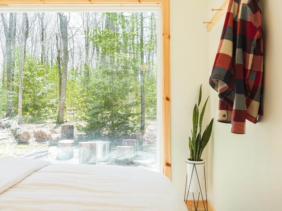 Premium Cabin | View from room