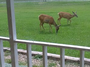 Vista da propriedade