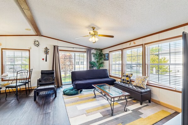 TV, video library, stereo