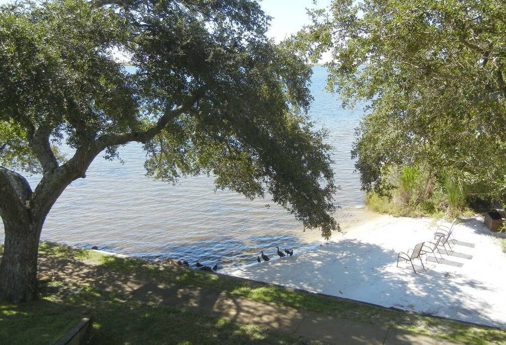 Vista sul lago con un albero, una spiaggia sabbiosa e una fila di sedie.