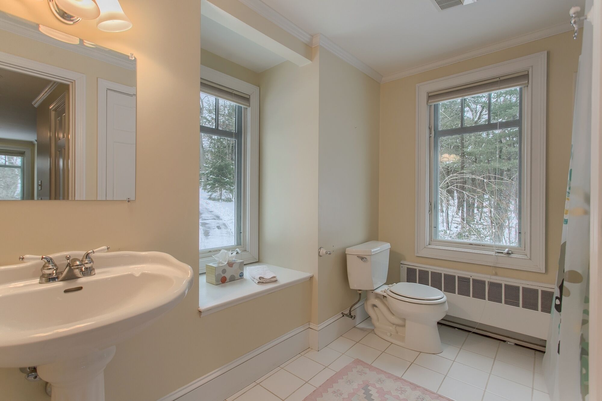 Une salle de bain avec un lavabo, des toilettes et de grandes fenêtres.