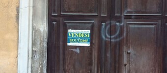 Casina modesta