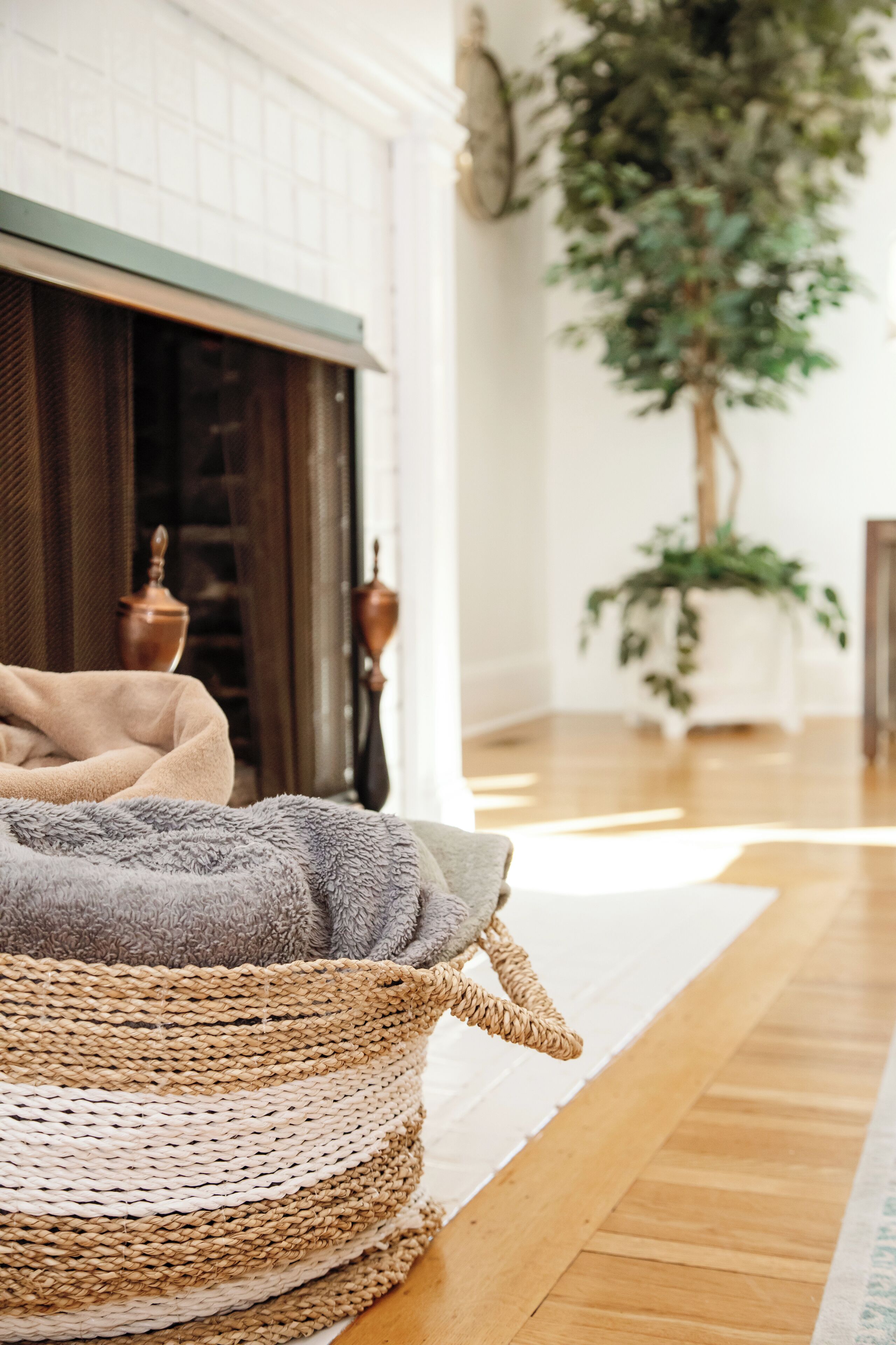 Une pièce chaleureuse avec un panier en osier, un tapis moelleux et une grande plante en pot.