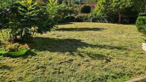 Un patio trasero con césped, una jardinera verde, árboles y una casa al fondo.