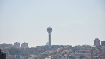 Vue depuis le balcon