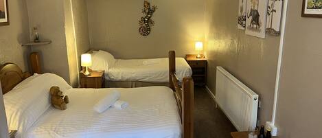 Ett hotellrum med två separata sängar, en sänggavel i trä, ett nattduksbord med en lampa, en hylla med en liten växt, en inramad tavla på väggen och ett element.