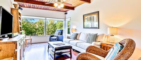 Flat-screen TV, Netflix, DVD player, books