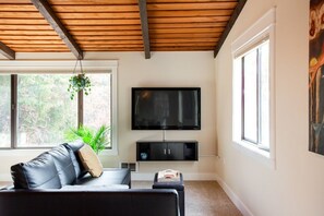 Una Smart TV, una chimenea, un reproductor de DVD, libros