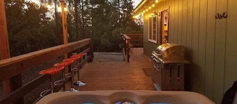 Stunning Chalet with No Immediate Neighbors!