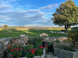 Cottage | Interior - West View (Ripon)