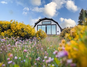 Exterior - Backland Luxury Nature Resort - Grand Canyon (Williams)