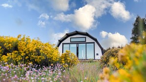 A modern building with a large glass facade, surrounded by a field of wildflowers. - Backland Luxury Nature Resort - Grand Canyon (Williams)