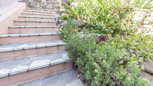 Unos escalones de piedra conducen a la entrada de una casa, rodeados de plantas y arbustos verdes.