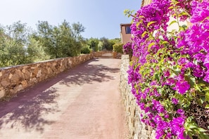 Villa, Multiple Beds | Garden