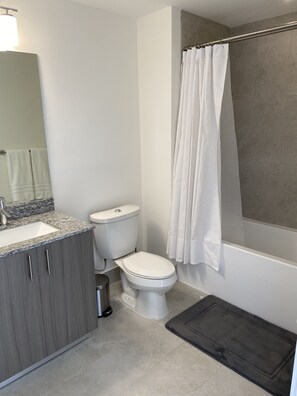 Combined shower/tub, hair dryer, towels, soap