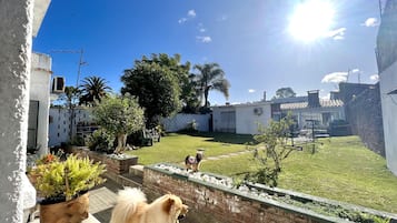 Un patio trasero con un perro, césped y un muro de ladrillo.