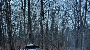 A gazebo with a mattress and a fire pit in a forested area.