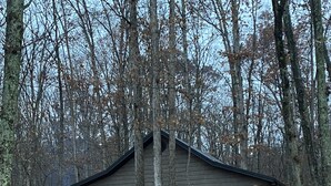 A cabin with a porch, surrounded by trees and covered in fallen leaves.